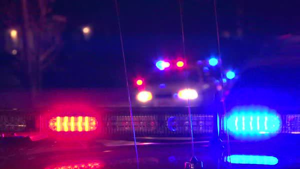 Rosenberg police nab suspected jewel thieves
